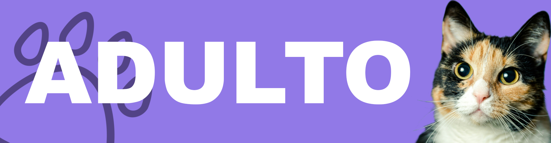 Adultos