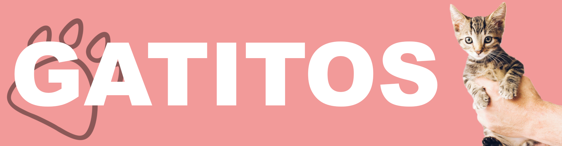 Gatitos