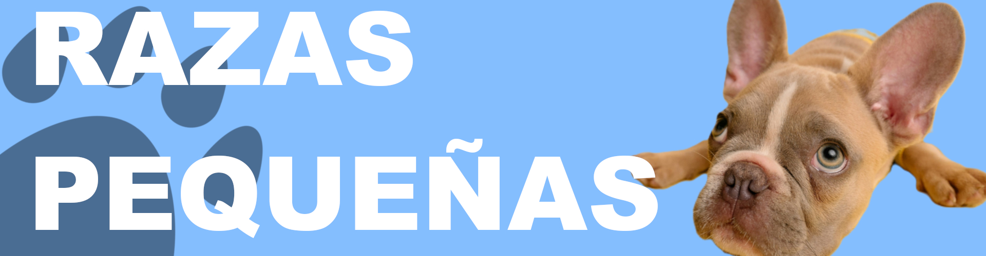 Comida Seca